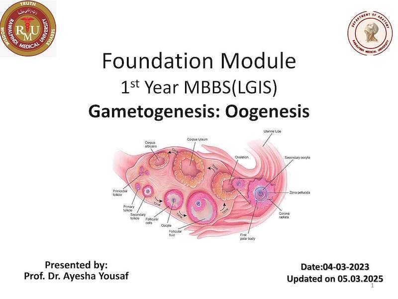 Oogenesis.pdf