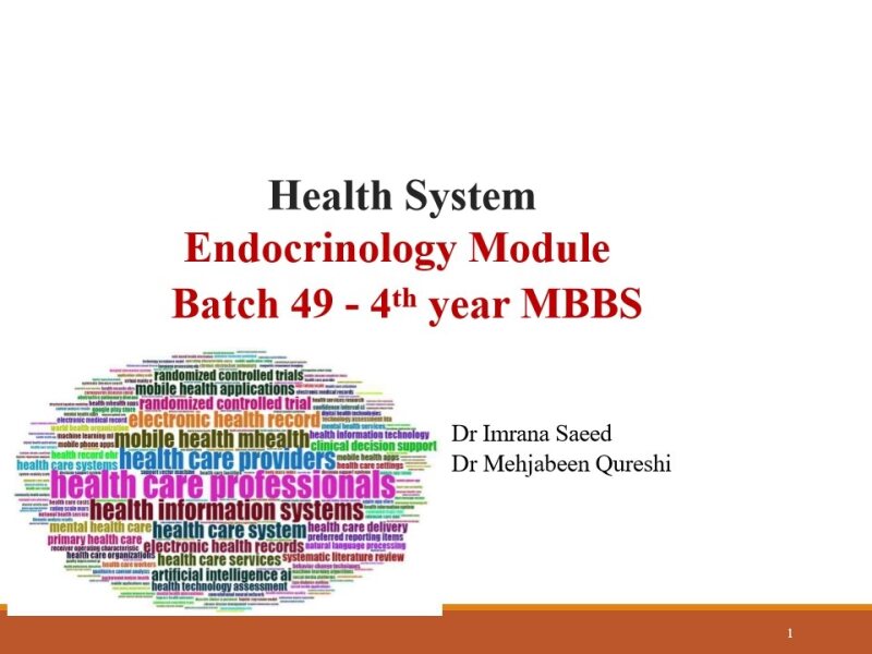 health_system_of_Pakistan[1].pdf