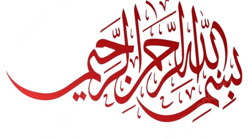 CMED Vector Born 2.pdf