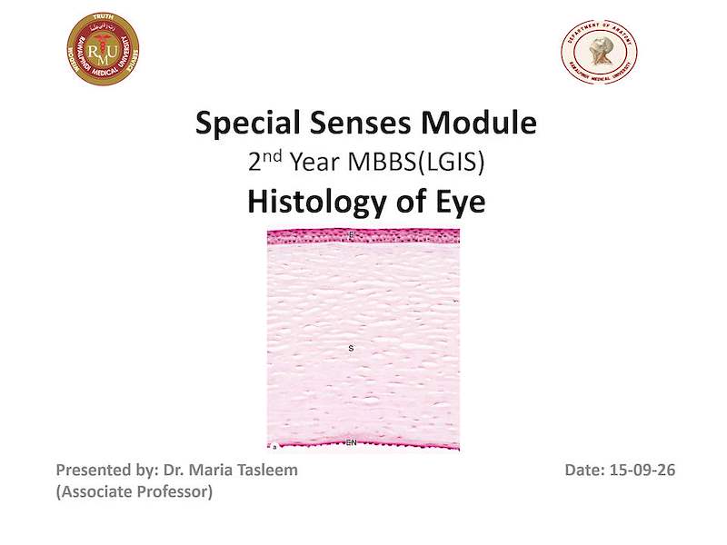 Histology of eye.pptx