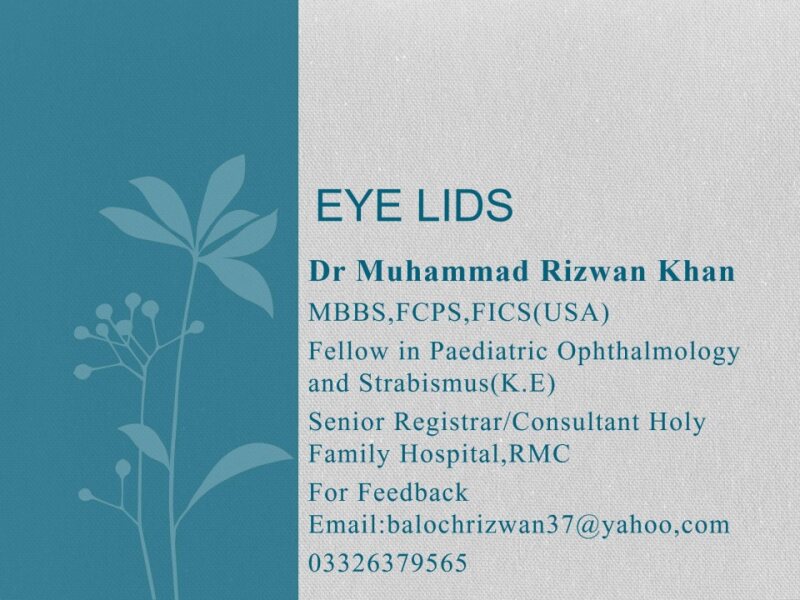 Eye-Lids-2-1-1.pptx