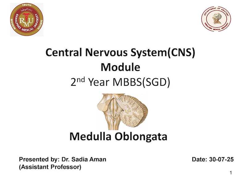 6 MEDULLA OBLONGATA.pdf