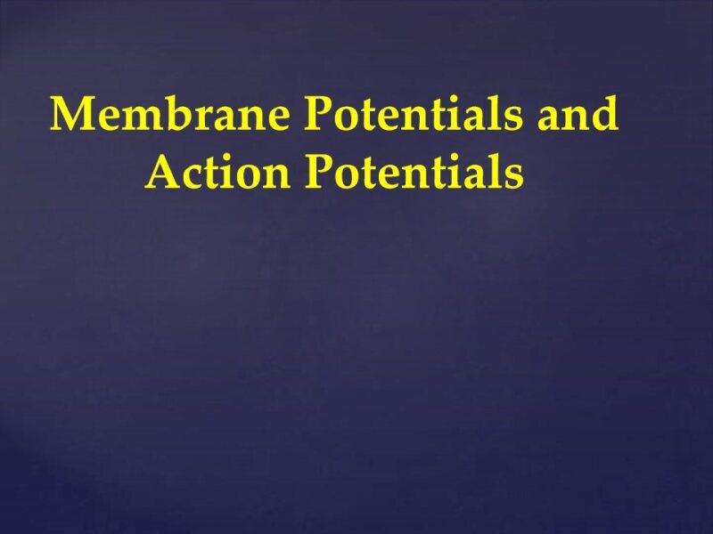 membrane potential-compressed.pdf