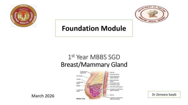 breast.pptx