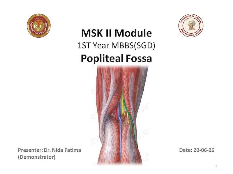 Popliteal Fossa.pdf