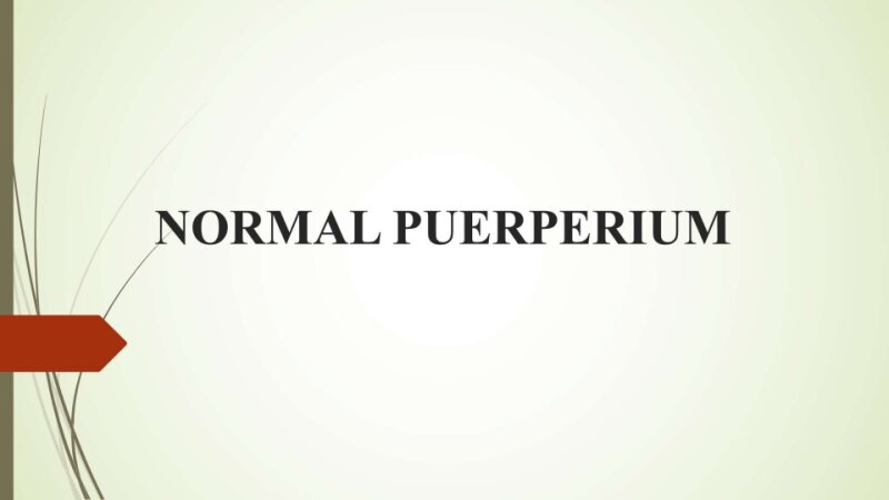 Puerperium-1.pptx