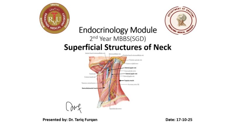 Superficial structures (regions of neck).pptx