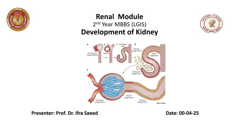 development-of-Kidney-I.pptx