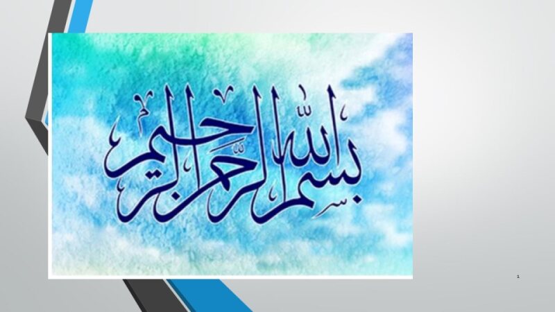 Vertical National Health Programs.pdf