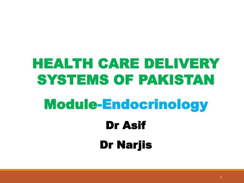health care delivery system in pakistan 2[1].pdf