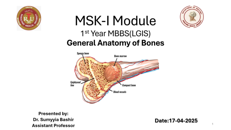 GA-of-bones.pptx