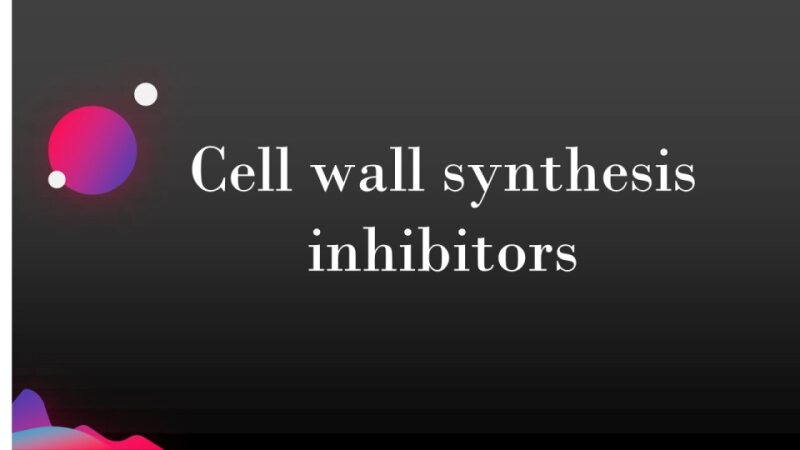 05-Pharma-Vancomycin-and-other-cell-wall-synthesis-inhibitors.pdf