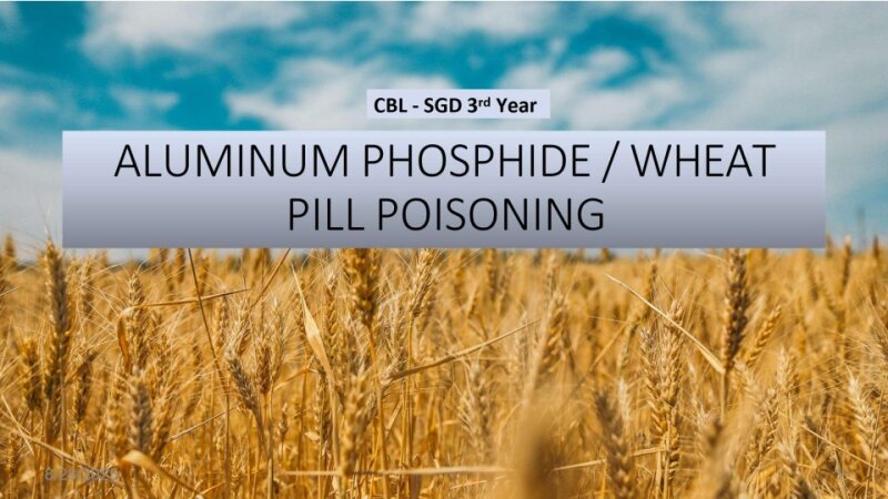 Wheat Pills poisoning (2).pptx
