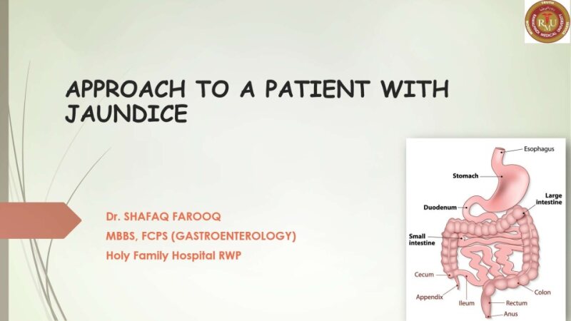 DR-SHAFAQ-PPT-ON-JAUNCICE.pptx