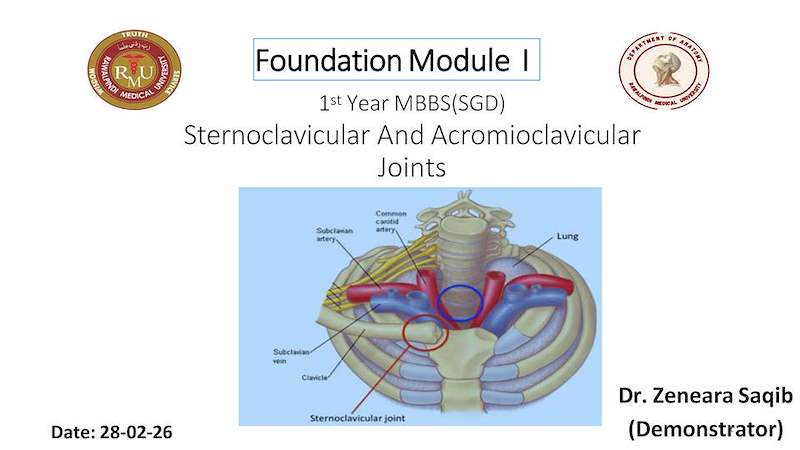 Sternoclavicular & Acromioclavicular joints.pdf