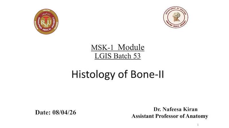 Bone II Histology LGIS.pdf
