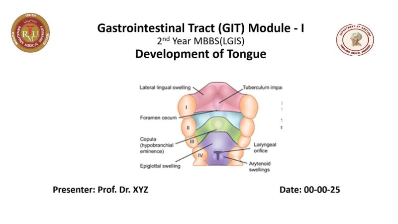 development-of-tomgue.pptx