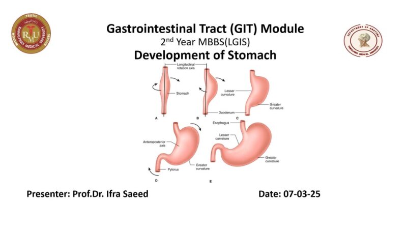 Development-of-stomach.pptx