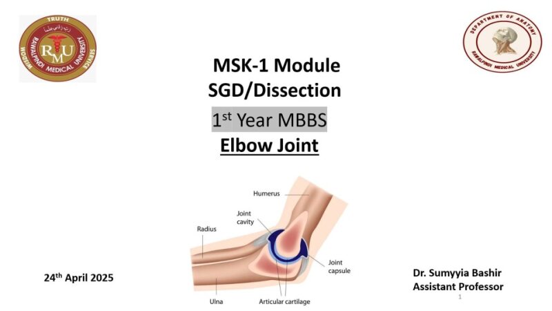 Elbow-Joint.pptx