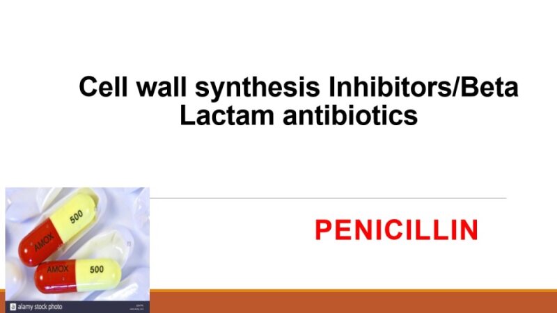 MIV-MICRO-PH-002 Penicillins I.pdf