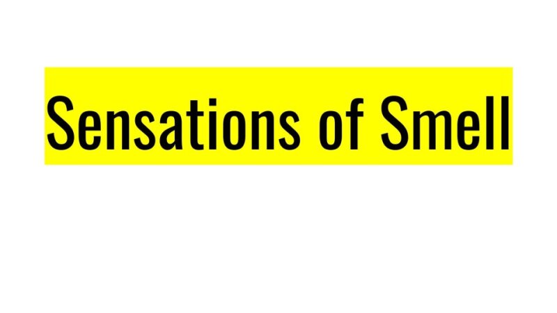 Sensations of Smell.pptx