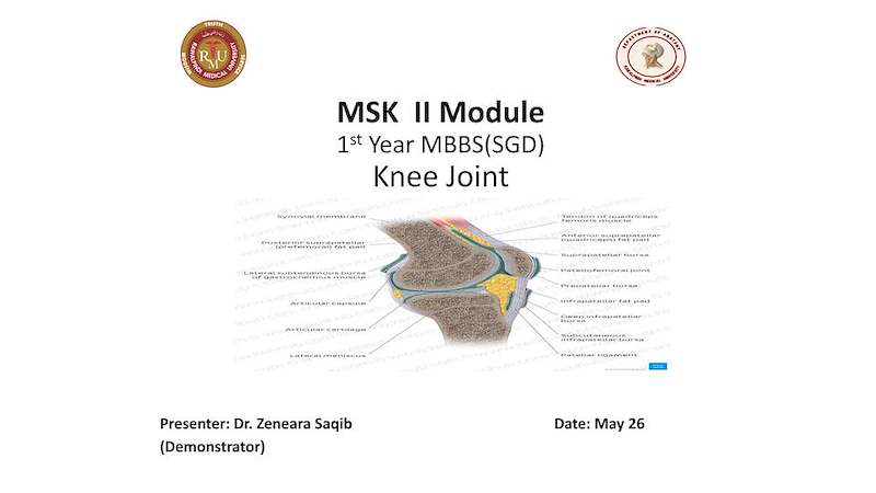 Knee Joint.pdf