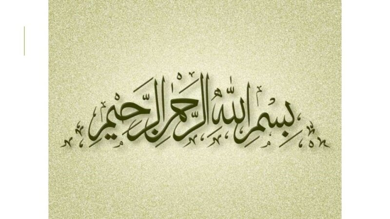 Diabetes_Mellitus_2025[1]_compressed.pdf