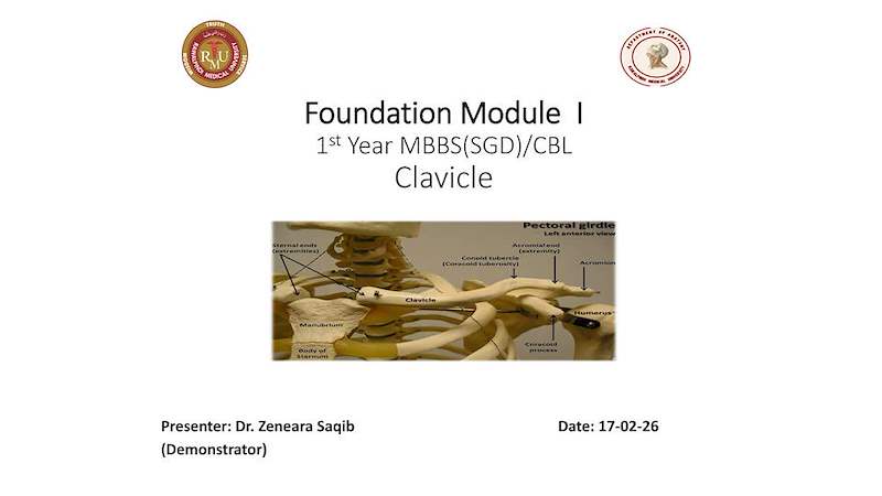 Clavicle Bone.pdf