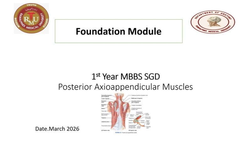 post axioappendicular muscles.pptx