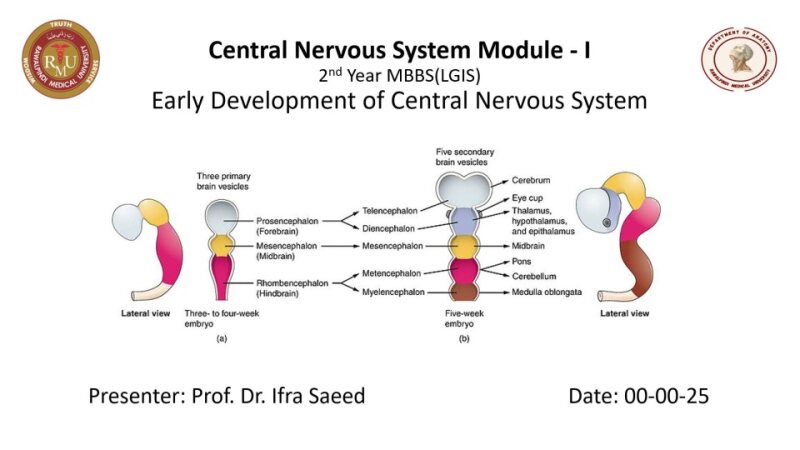1-Early-Development-of-CNS-2-Autosaved.pptx