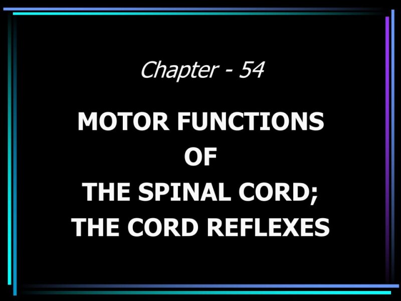 MOTOR FUNCTIONS.ppt