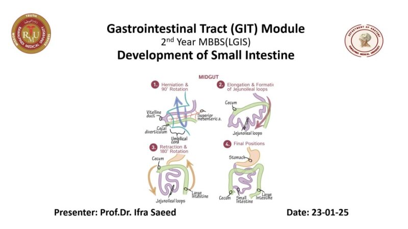 Development-of-small-Intestine-2025.pptx