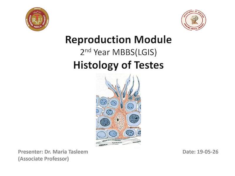 Histology of Testes.pptx