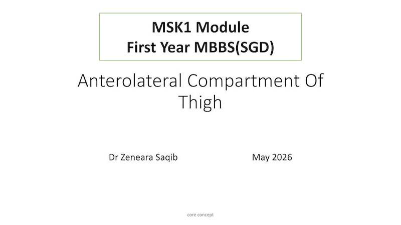 Anterolateral Compartment of Thigh.pdf