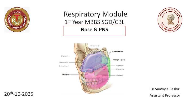 Nose & Paranasal Sinuses.pdf