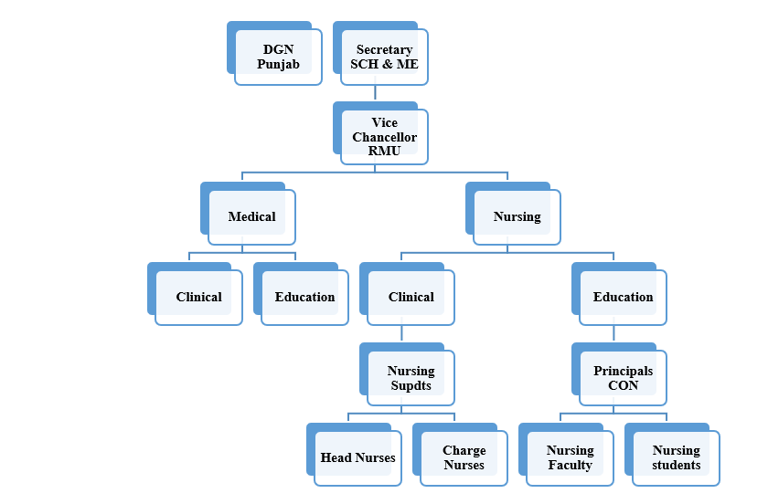 Fundamental of Nursing-I ,II, HEC, PNC, UHS Course Outline